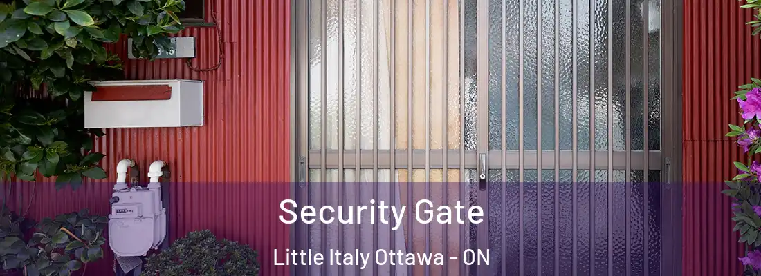 Security Gate Little Italy Ottawa - ON