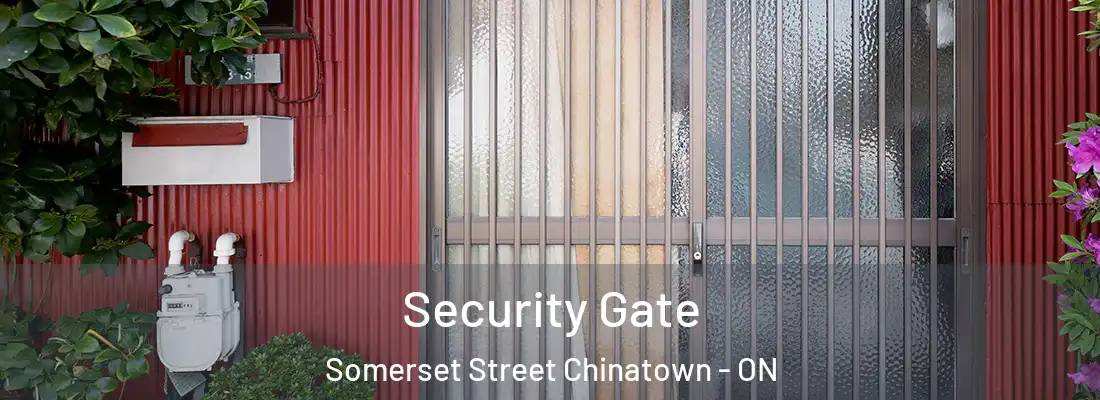  Security Gate Somerset Street Chinatown - ON