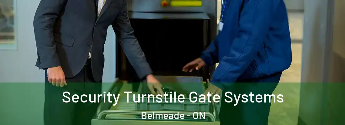  Security Turnstile Gate Systems Belmeade - ON