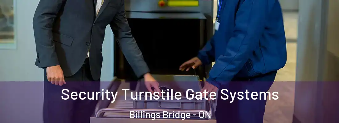  Security Turnstile Gate Systems Billings Bridge - ON