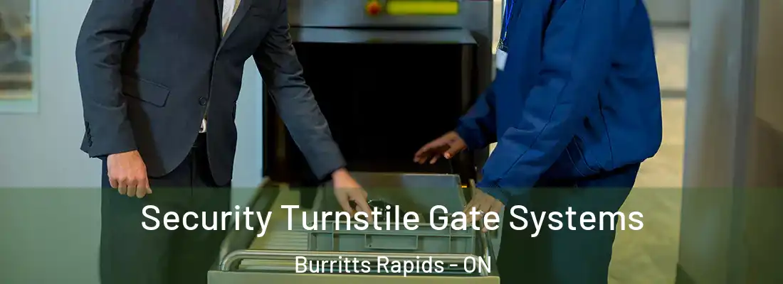  Security Turnstile Gate Systems Burritts Rapids - ON