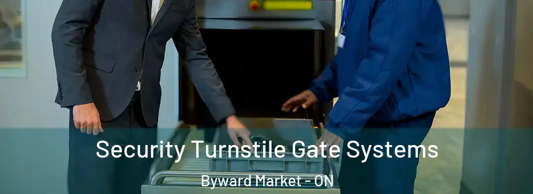  Security Turnstile Gate Systems Byward Market - ON