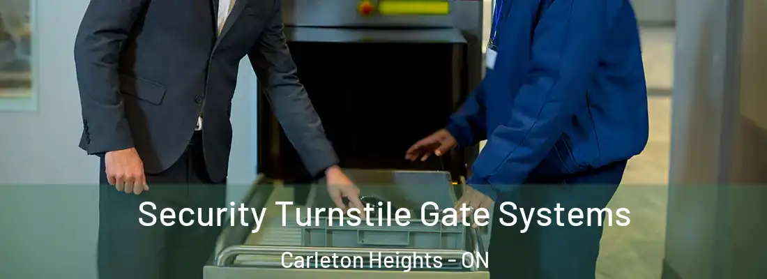  Security Turnstile Gate Systems Carleton Heights - ON