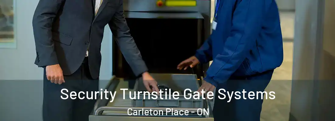  Security Turnstile Gate Systems Carleton Place - ON