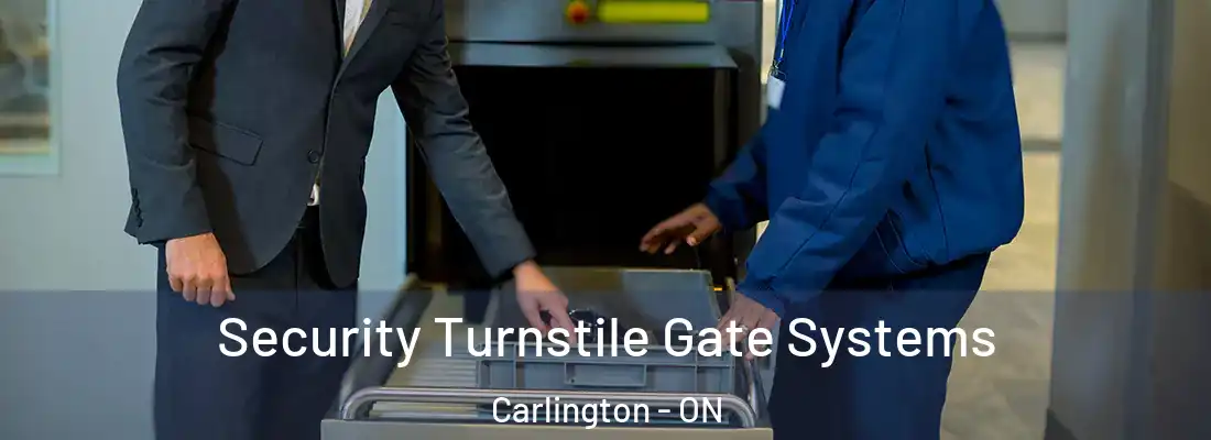  Security Turnstile Gate Systems Carlington - ON