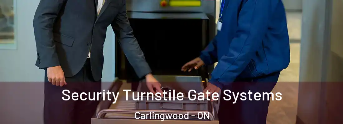 Security Turnstile Gate Systems Carlingwood - ON