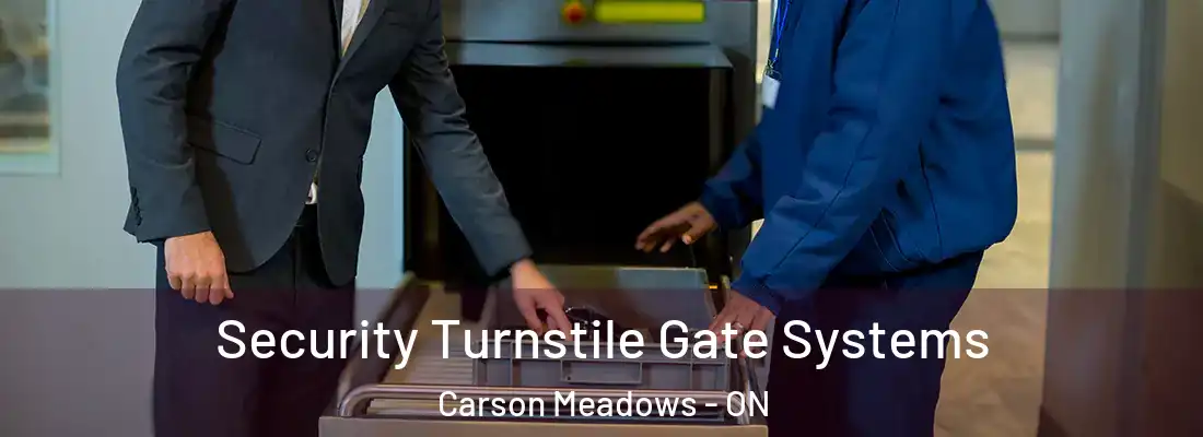  Security Turnstile Gate Systems Carson Meadows - ON