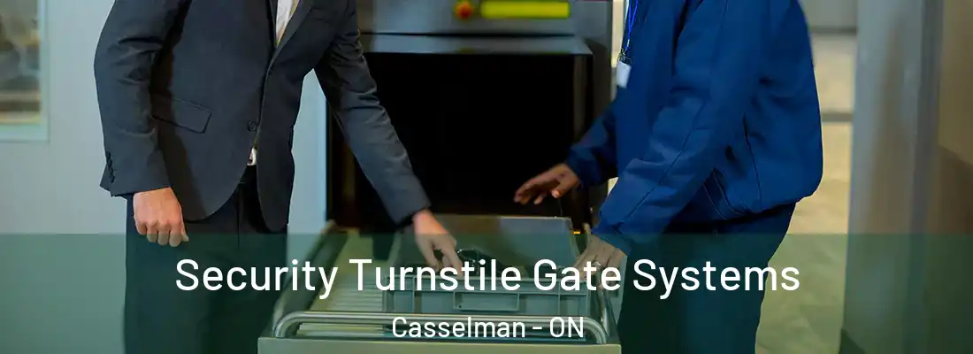  Security Turnstile Gate Systems Casselman - ON