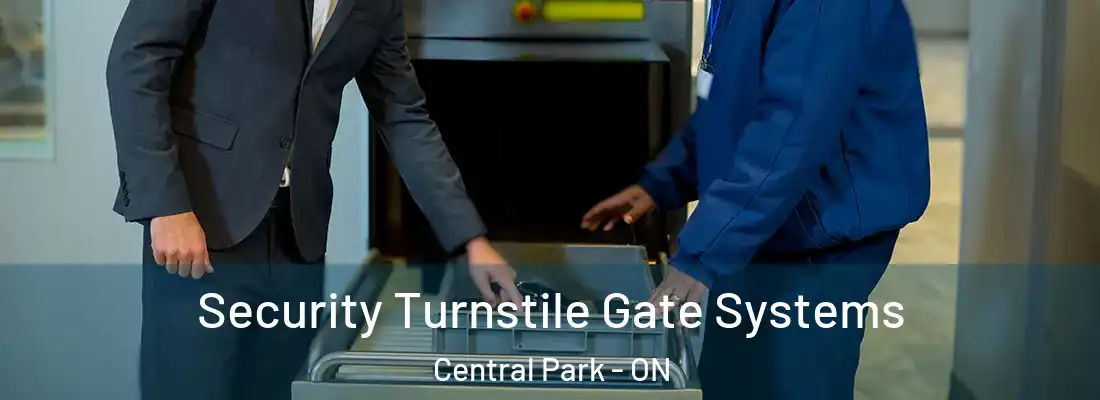  Security Turnstile Gate Systems Central Park - ON