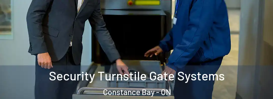  Security Turnstile Gate Systems Constance Bay - ON