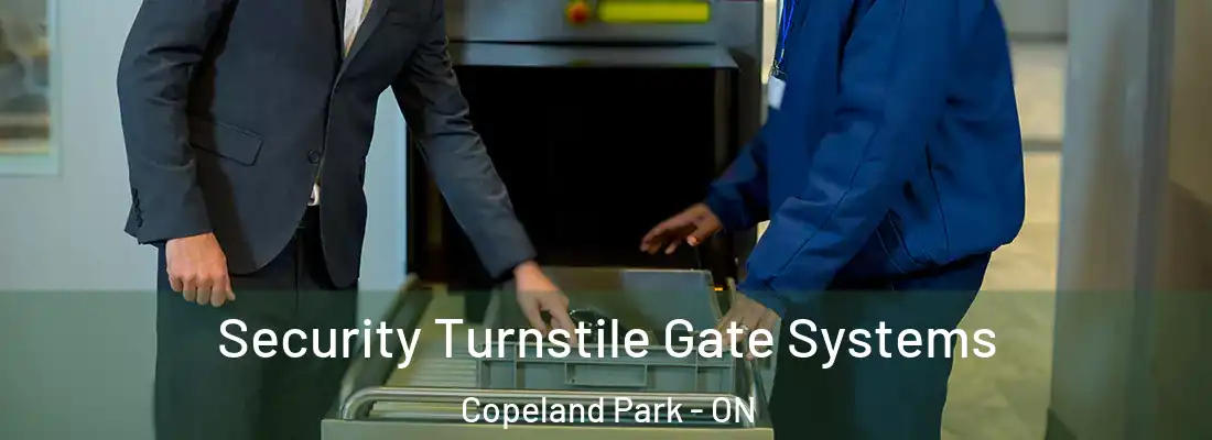  Security Turnstile Gate Systems Copeland Park - ON
