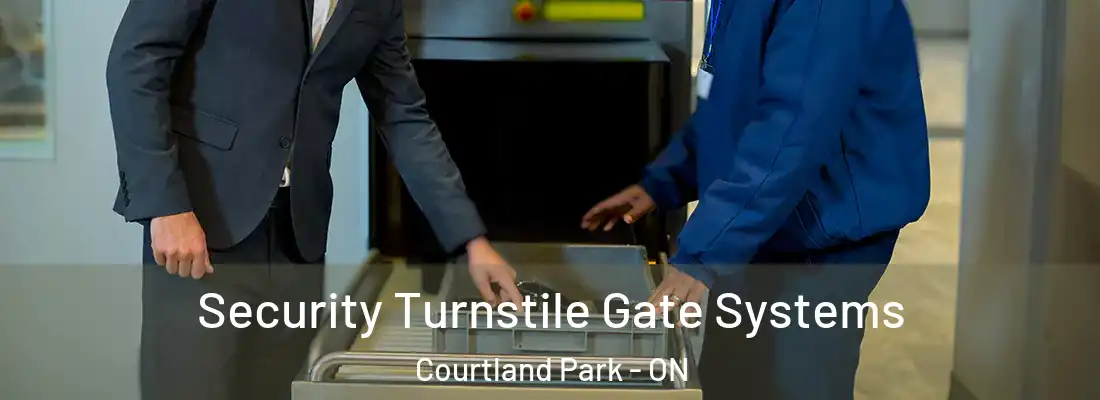  Security Turnstile Gate Systems Courtland Park - ON