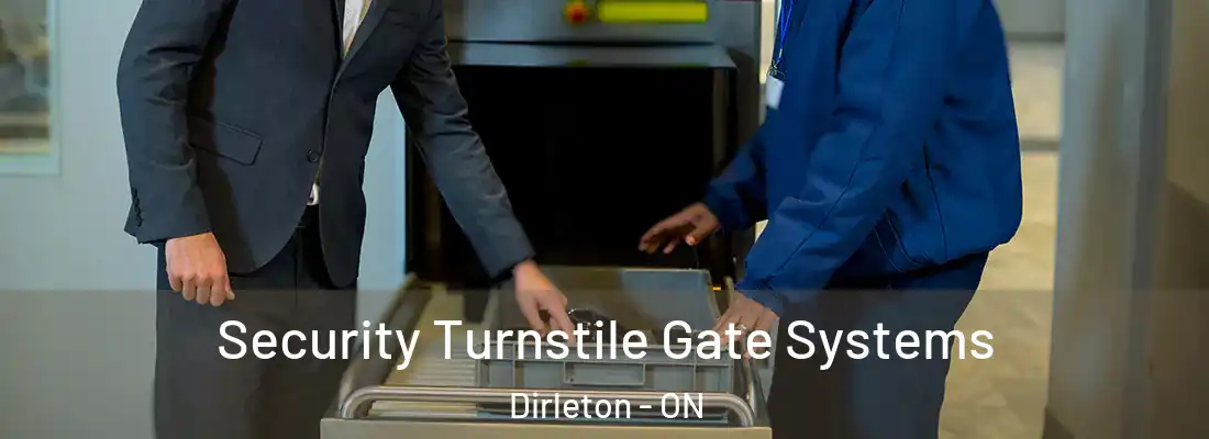  Security Turnstile Gate Systems Dirleton - ON
