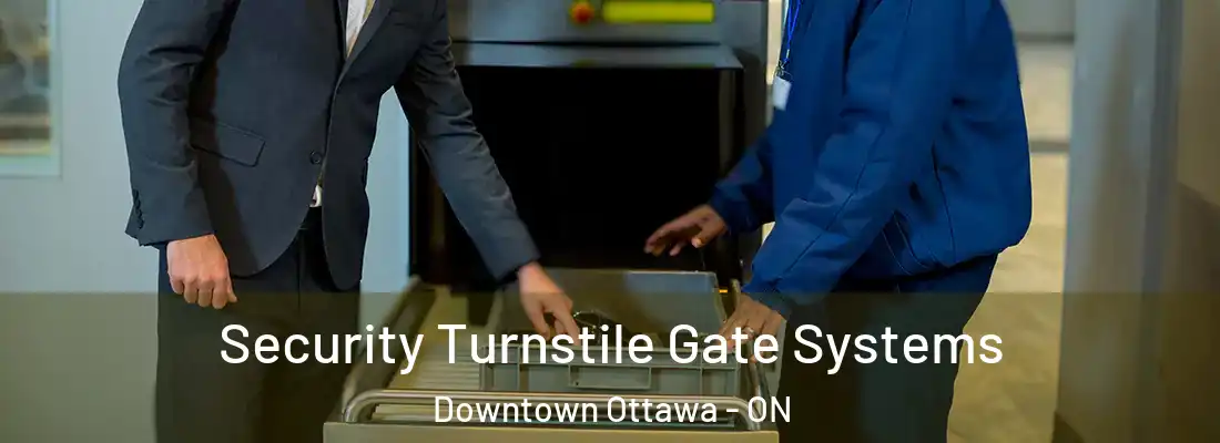  Security Turnstile Gate Systems Downtown Ottawa - ON
