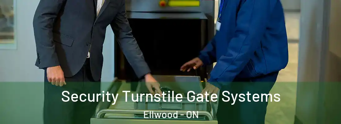  Security Turnstile Gate Systems Ellwood - ON