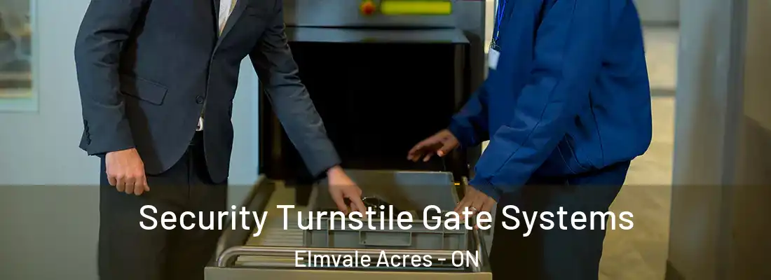 Security Turnstile Gate Systems Elmvale Acres - ON