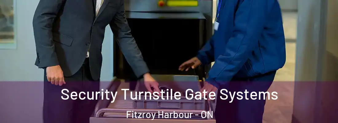  Security Turnstile Gate Systems Fitzroy Harbour - ON