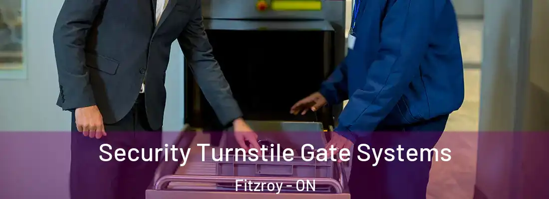  Security Turnstile Gate Systems Fitzroy - ON