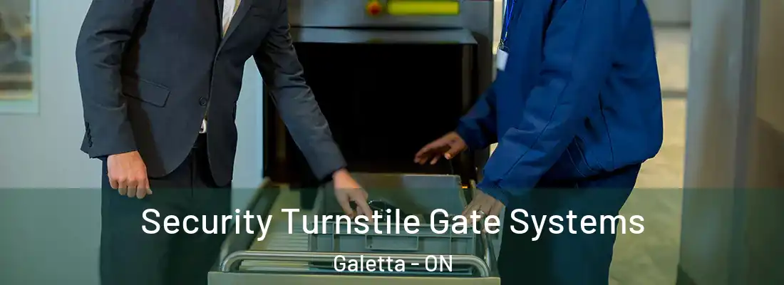  Security Turnstile Gate Systems Galetta - ON