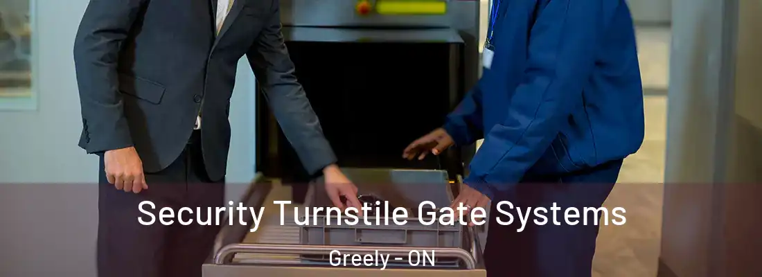  Security Turnstile Gate Systems Greely - ON
