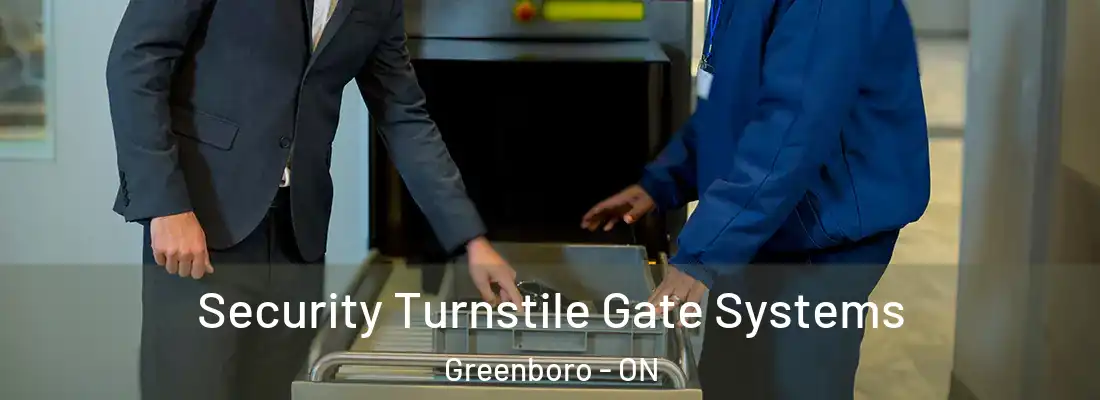  Security Turnstile Gate Systems Greenboro - ON