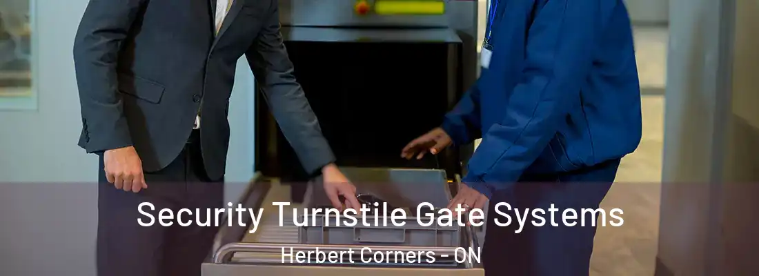 Security Turnstile Gate Systems Herbert Corners - ON