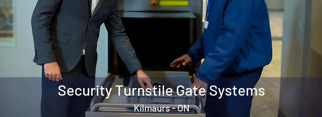  Security Turnstile Gate Systems Kilmaurs - ON
