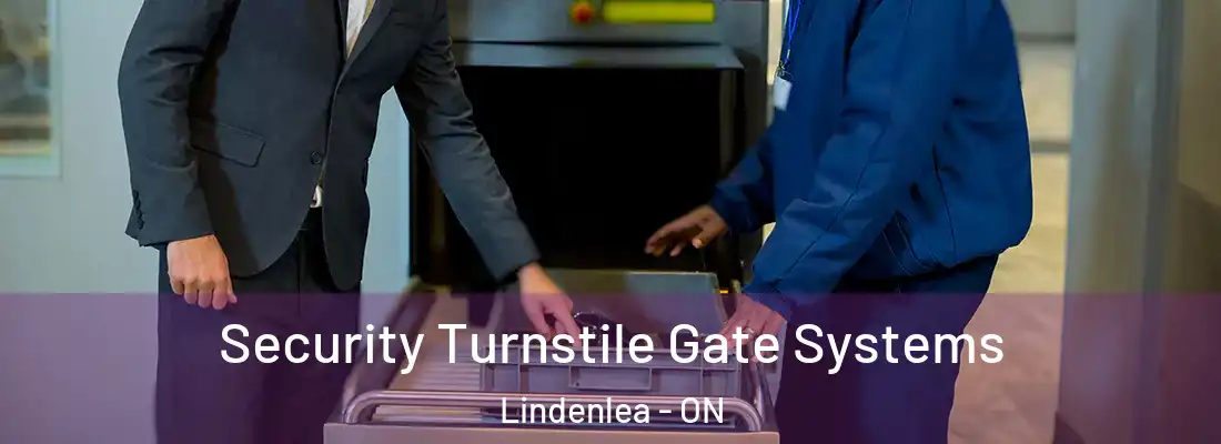  Security Turnstile Gate Systems Lindenlea - ON