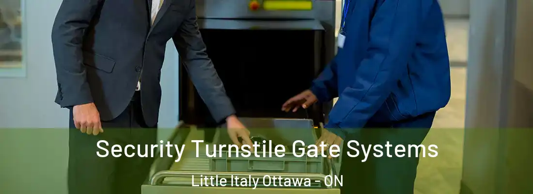  Security Turnstile Gate Systems Little Italy Ottawa - ON