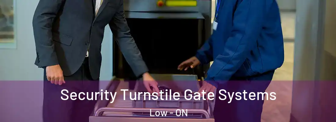  Security Turnstile Gate Systems Low - ON