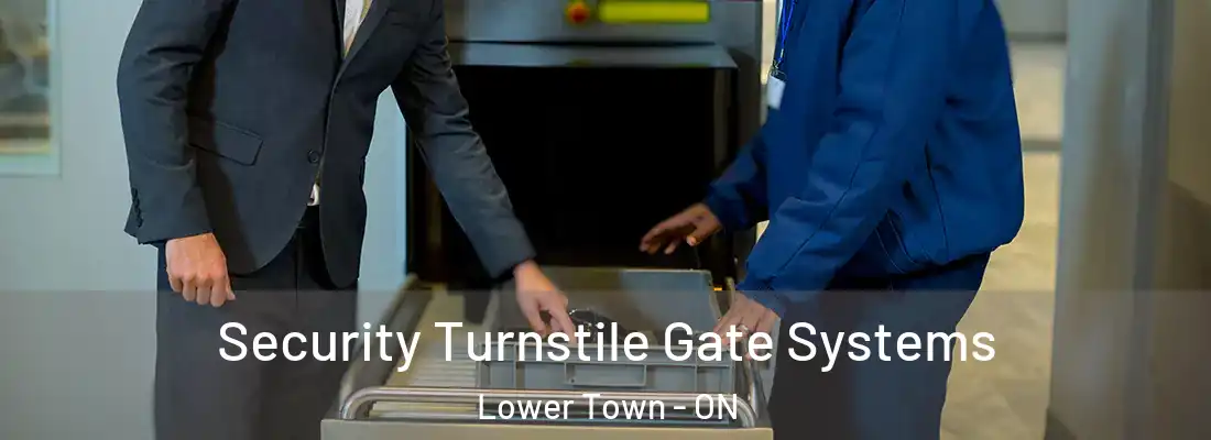 Security Turnstile Gate Systems Lower Town - ON
