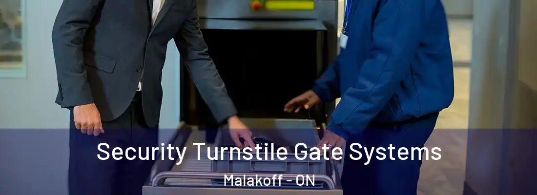  Security Turnstile Gate Systems Malakoff - ON