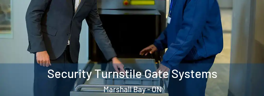  Security Turnstile Gate Systems Marshall Bay - ON