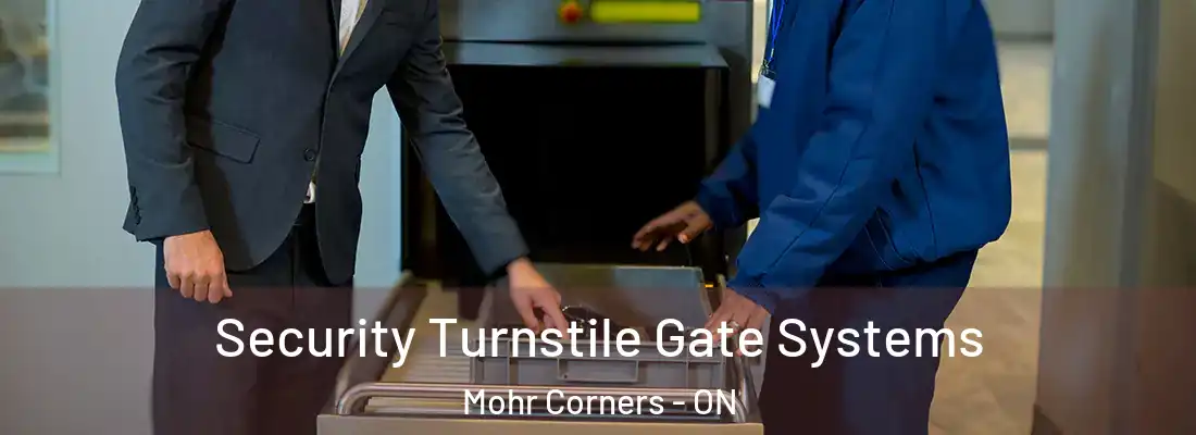  Security Turnstile Gate Systems Mohr Corners - ON