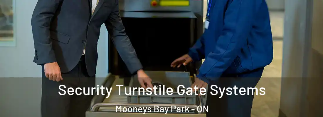 Security Turnstile Gate Systems Mooneys Bay Park - ON