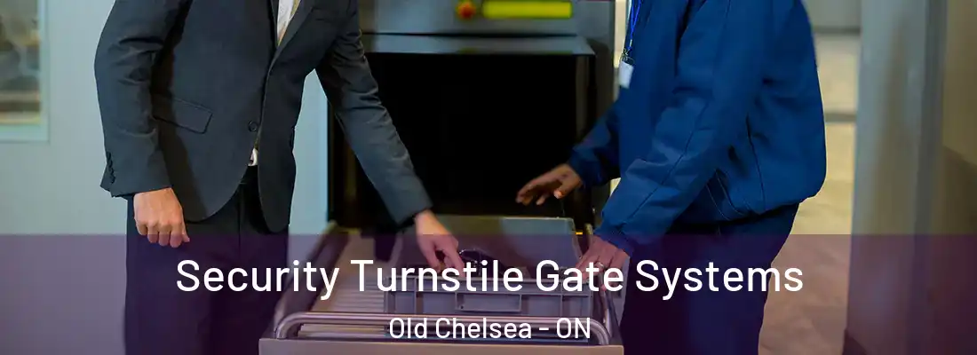 Security Turnstile Gate Systems Old Chelsea - ON