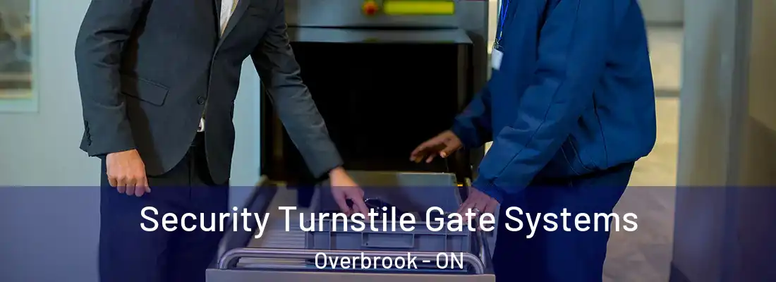  Security Turnstile Gate Systems Overbrook - ON