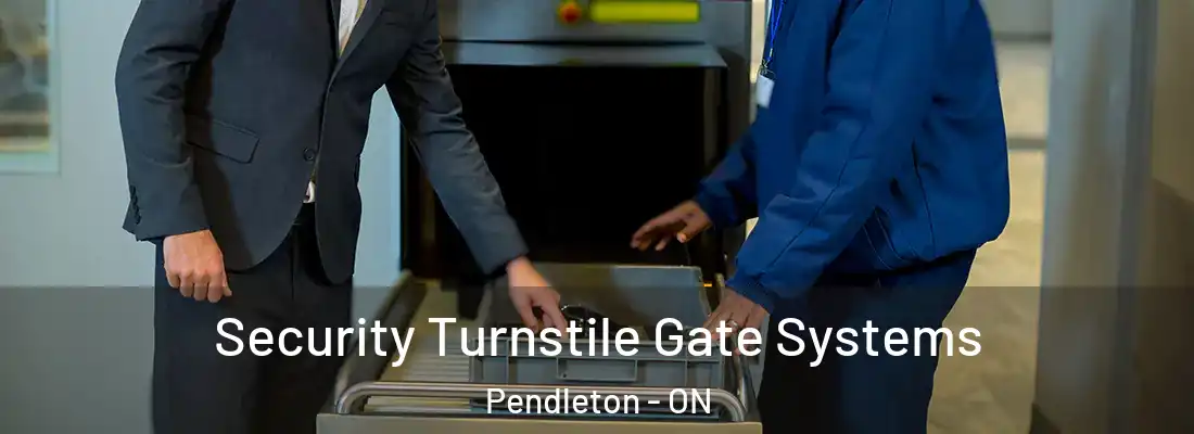  Security Turnstile Gate Systems Pendleton - ON