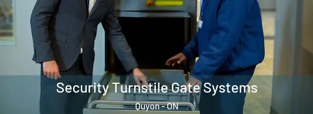  Security Turnstile Gate Systems Quyon - ON