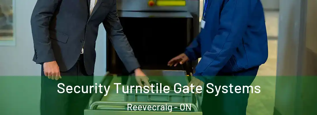  Security Turnstile Gate Systems Reevecraig - ON