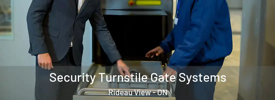 Security Turnstile Gate Systems Rideau View - ON