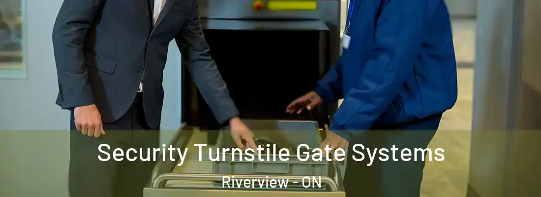  Security Turnstile Gate Systems Riverview - ON