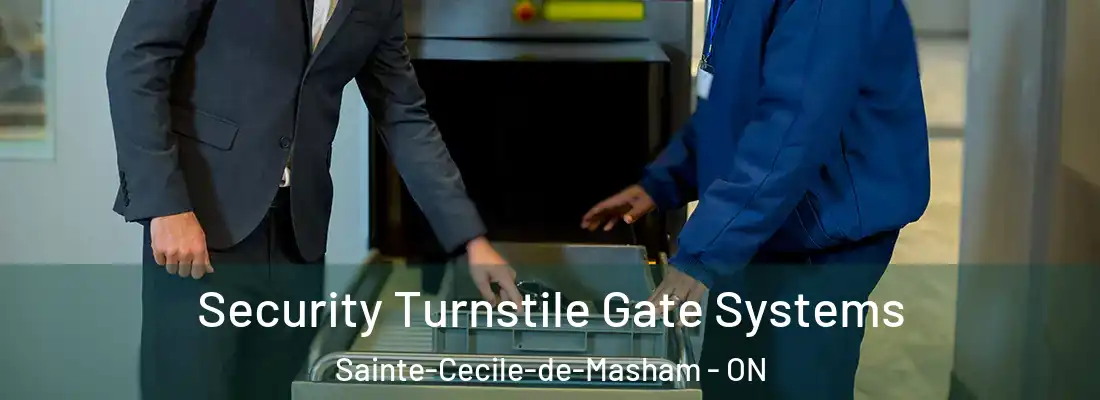  Security Turnstile Gate Systems Sainte-Cecile-de-Masham - ON