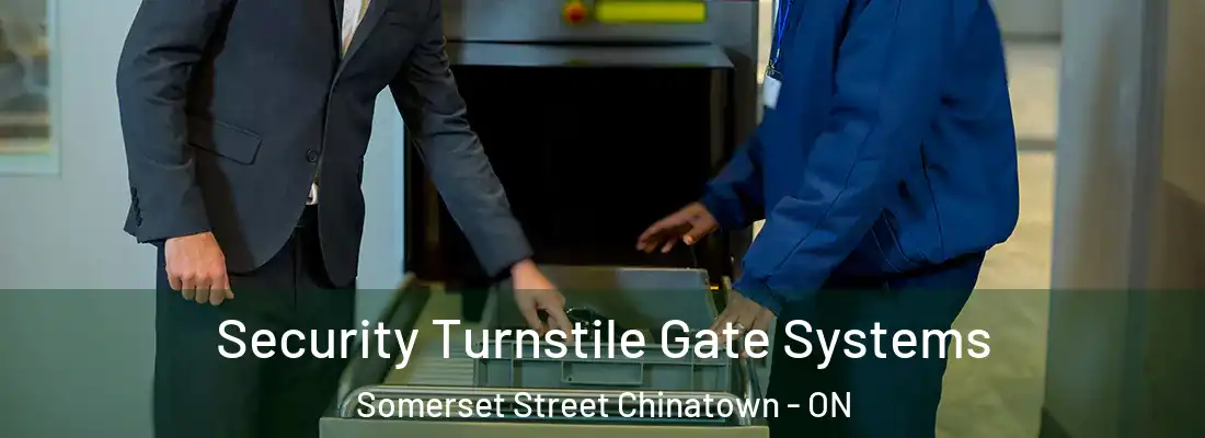  Security Turnstile Gate Systems Somerset Street Chinatown - ON