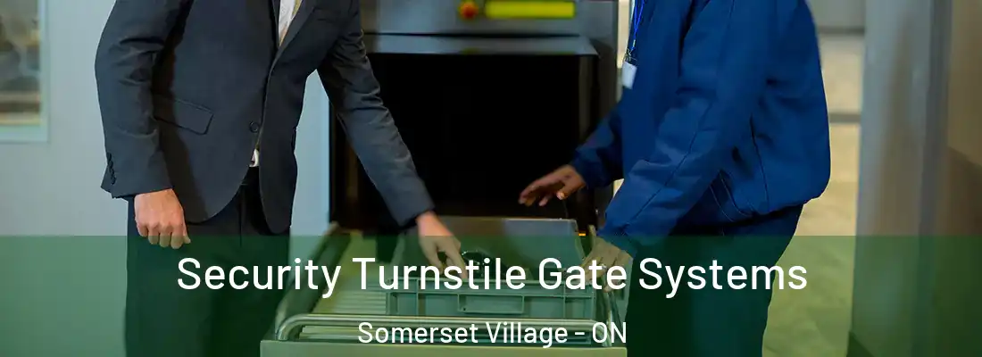  Security Turnstile Gate Systems Somerset Village - ON