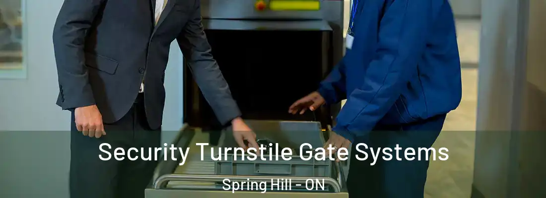  Security Turnstile Gate Systems Spring Hill - ON