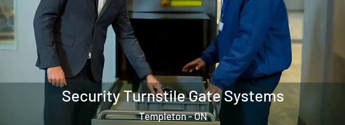  Security Turnstile Gate Systems Templeton - ON