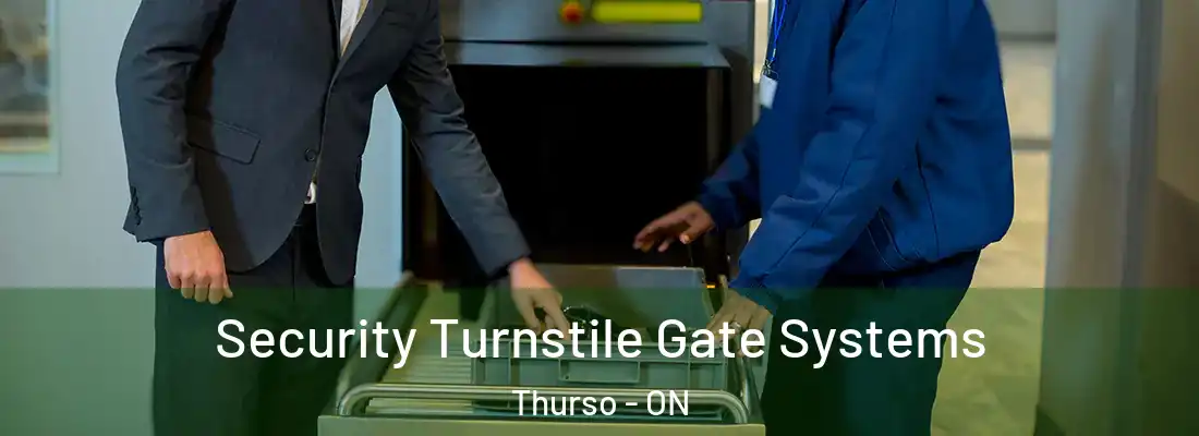  Security Turnstile Gate Systems Thurso - ON
