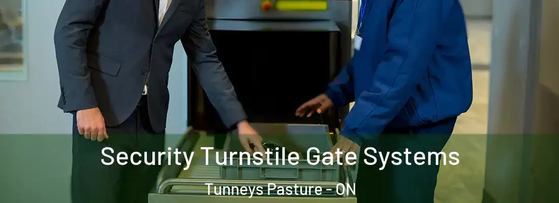  Security Turnstile Gate Systems Tunneys Pasture - ON