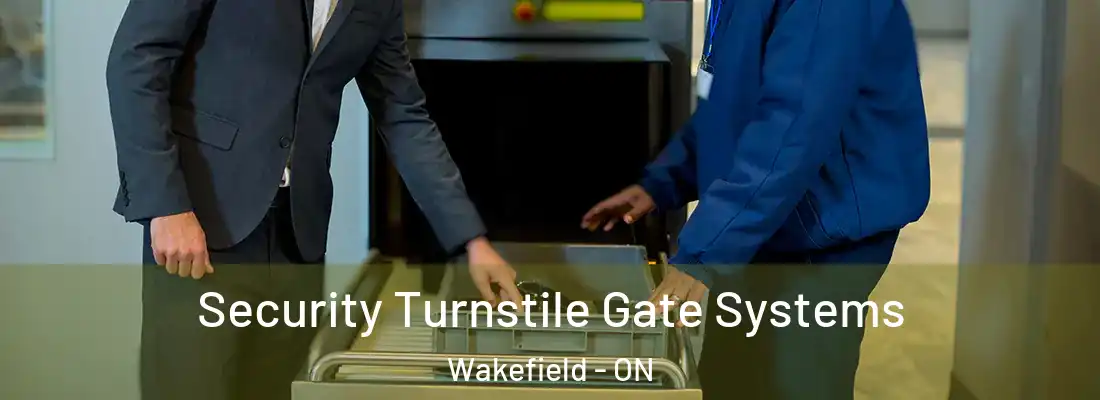  Security Turnstile Gate Systems Wakefield - ON